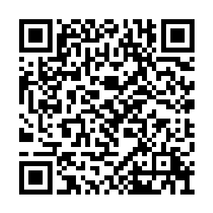 虽然他基本已经认定眼前的少年不可能是他弟弟二维码生成