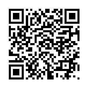 虽然他此时和许紫烟一样都是人尊后期的修为二维码生成