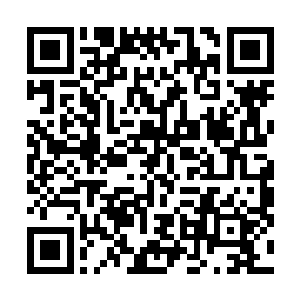 虽然他现在不知道自己提升到仙君境界到底需要多少力量二维码生成