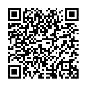 虽然他现在还是利用魔鬼白磷蛇的血脉在掩饰自己二维码生成