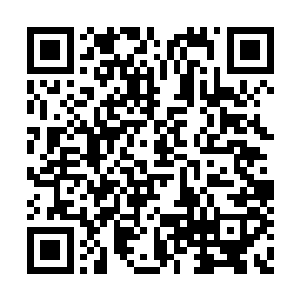 虽然以前他一直都是这样直接去感应别人的思想二维码生成