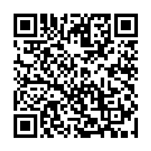 虽然会让其他任何人的攻击都无法对他造成半点影响二维码生成