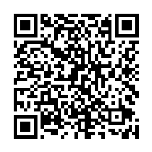 虽然会议的相关情况我们到现在为止了解的还不是那么的多二维码生成