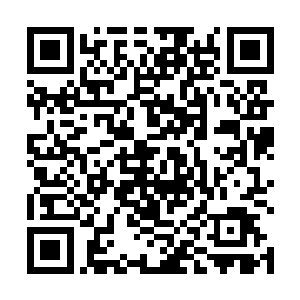 虽然你刚刚说东方少奇是在距离西门世家不远处发现的二维码生成