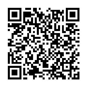 虽然你在主神空间感觉自己所有一切都是真实存在二维码生成