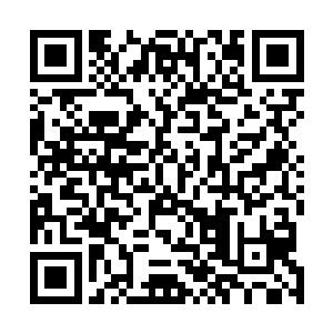 虽然刘力宏在修真人士眼中不过只是一个蝼蚁般渺小的人二维码生成