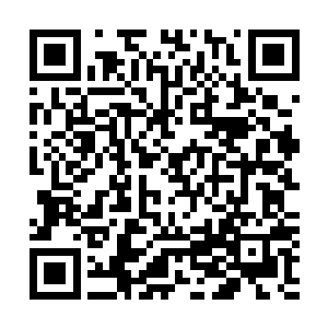 虽然刚才一时冲动答应了白奇雪要到前面去看她们班的演出二维码生成