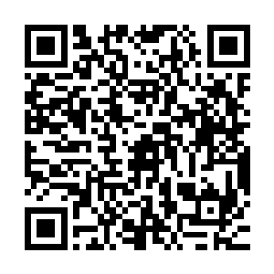 虽然刚才我看到小秋那么担心你的时候心里也不是一点都不在意二维码生成