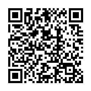 虽然刚才熬家强者那一击让他们损失了近三分之一的力量二维码生成