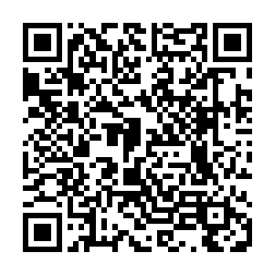 虽然叶璃怀中那穿着白衣粉雕玉琢精致的仿佛玉人儿一般的小娃娃没人知道是谁二维码生成