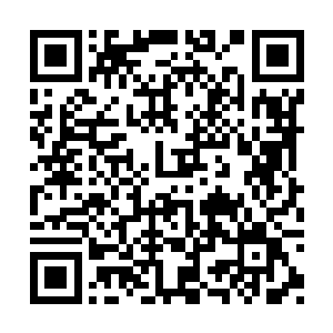 虽然叶秋本身对枪械这类热武器并没有多么看重二维码生成