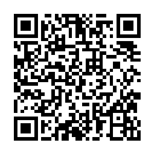 虽然各路人马一直锲而不舍的往定王府安插人马二维码生成