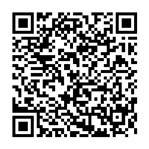 虽然哪怕练到小黑程度的金钟罩也未必扛得住这死胖子的全力攻击二维码生成