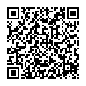 虽然因为之前那一件火红盔甲的守护让她看起来没有多少严重的明伤二维码生成