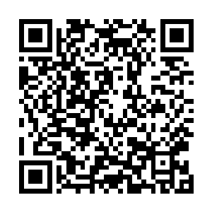 虽然在宗翰的督促下老大不情愿的率领一半亲卫谋克南下二维码生成