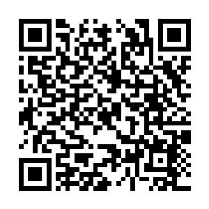 虽然在来的路上孙子轩已经说过了这边的基本情况二维码生成