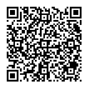 虽然在案发第一时间高速交警大队的人就赶到了案发现场并进行了紧急现场处理和上向汇报二维码生成