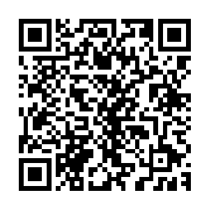 虽然墨尘不知道龙门为什么要在那么多的黑道势力里面选择他们二维码生成
