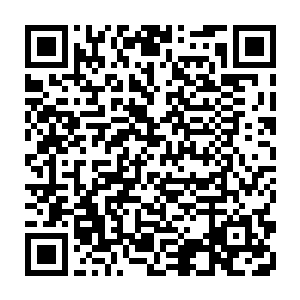 虽然大致一眼都认出这些东西的价值远远低于之前的三样宝物而有些失望二维码生成