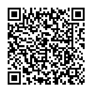 虽然大部分的同学们的关注点此时都已经转移到了那群野狗的身上二维码生成