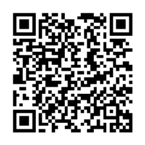 虽然她不明白流墨墨为什么仅仅几年就成长到这等修为二维码生成