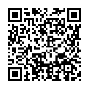 虽然她从来没有见过收贿赂收的这样一本正经的二维码生成