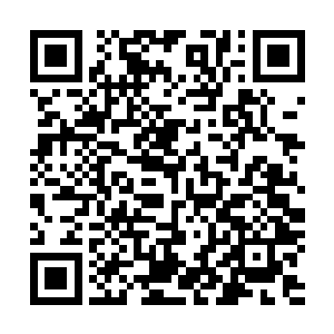虽然她们家的钱没有像那些财富五百强家族那么数以百亿计二维码生成