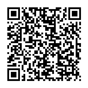 虽然她们都是傍上一个又帅又高级别还有隐藏任务的NPC帅哥做靠山二维码生成