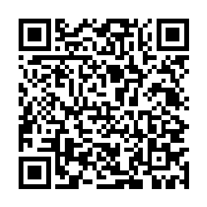 虽然她知道凭着叶尊的天赋也应该会前往血海战场二维码生成
