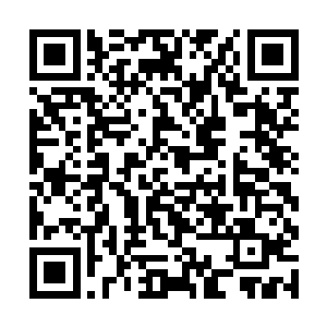 虽然如镇南王安溪公主北戎皇这些人都没有亲自前来二维码生成