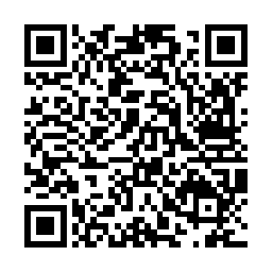 虽然媒体对世纪之战的后续发展依旧给予了高度关注二维码生成