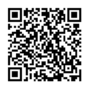 虽然孔正义同志没有检举信中所指出的违法违纪行为二维码生成