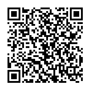 虽然孙子轩不知道和自己的右手融为一体的那只手究竟是什么东西二维码生成