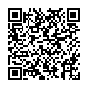 虽然对自然沟通是否能影响冰虫们的情绪抱有怀疑二维码生成