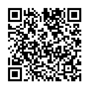 虽然小白曾经娇憨地表示自己对族长的位子没有兴趣二维码生成