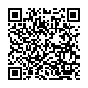 虽然年欣然不用像往常那样又补习社又夜宴两边奔跑二维码生成