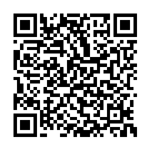 虽然张铁只是抬头看了这个地下空间的穹顶几眼二维码生成