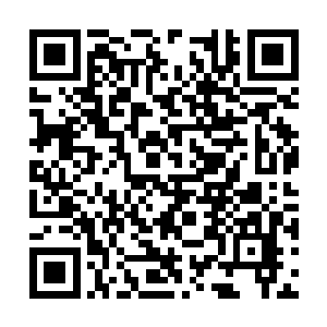 虽然当初为了找国库银子掘地三尺挖坏了不少地板二维码生成