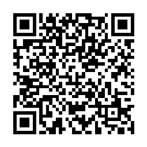 虽然我不知道这些年来奥林匹斯发展成了什么样子二维码生成