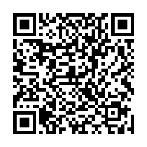 虽然我不知道那个杀手头子为什么现在还没有找上长枪小友二维码生成