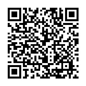 虽然我也不清楚究竟是巫族哪位先祖把四象尊者留下来的二维码生成