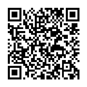 虽然我们已经在大兴安岭成功采集到了吸血蚜虫的样本二维码生成