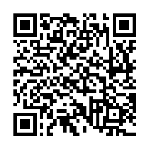 虽然我们的伪仙技可以压制住其他的帝级二十品的高手二维码生成