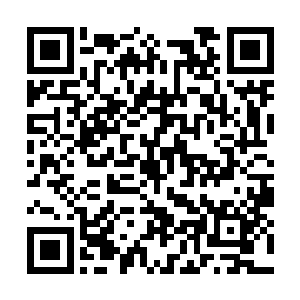 虽然我知道陈景皓说这话有一些夸张的成分在里面二维码生成