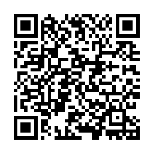 虽然我给你们的不是用混沌兽和域外天魔炼制出来的仙丹二维码生成