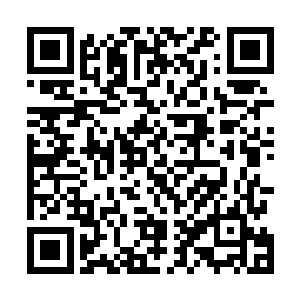 虽然才一个多月却已经看得出来模样和叶璃长得十分相似二维码生成