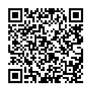 虽然找不到直接证据证明是她动手害你摔折了腿二维码生成