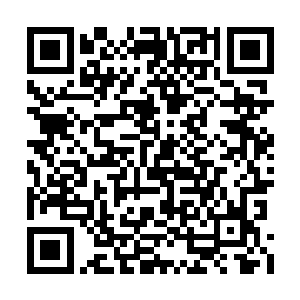 虽然早就猜到异世界肯定不会全部都是人类种族二维码生成