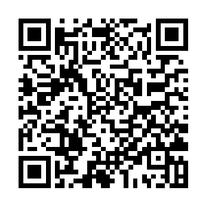 虽然早就知道水蜥蜴皮制作的钱包可以存放大量金币二维码生成