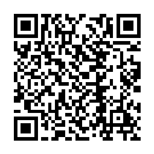 虽然早已经从瞿卫国口中知道掌门师叔祖法力无比二维码生成